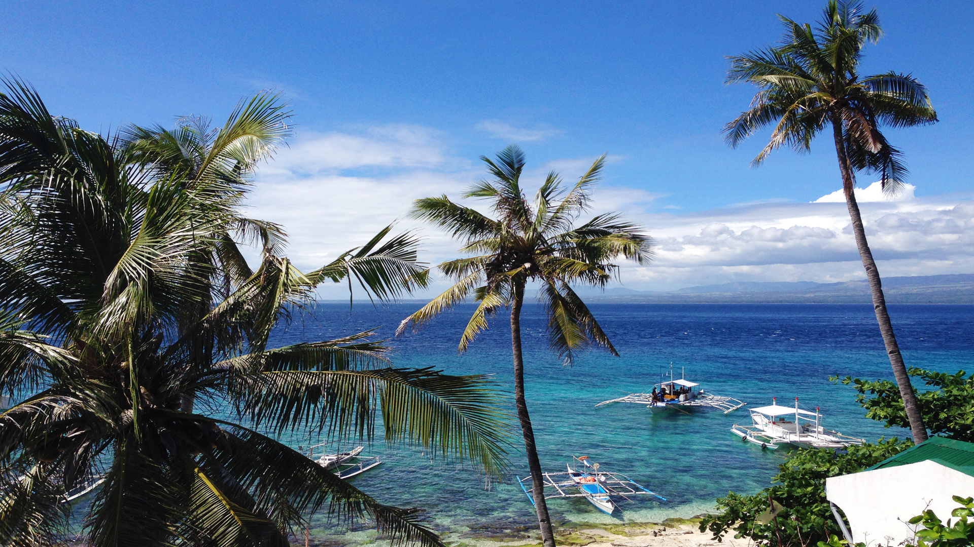 Apo Island, Dumaguete