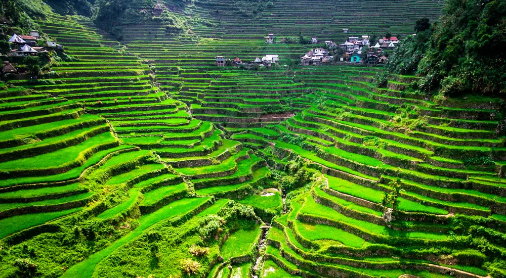 Banaue Rice Terraces