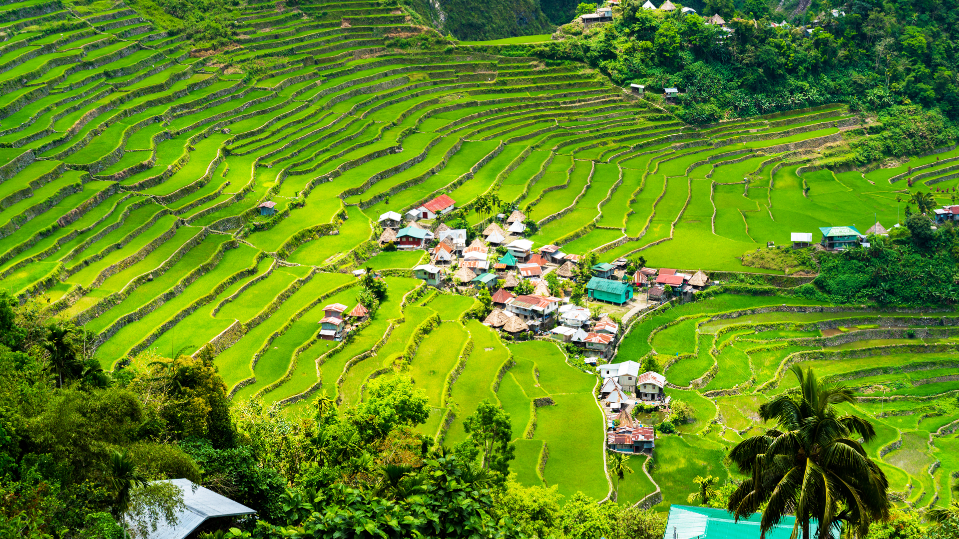 Batad Rice Terraces