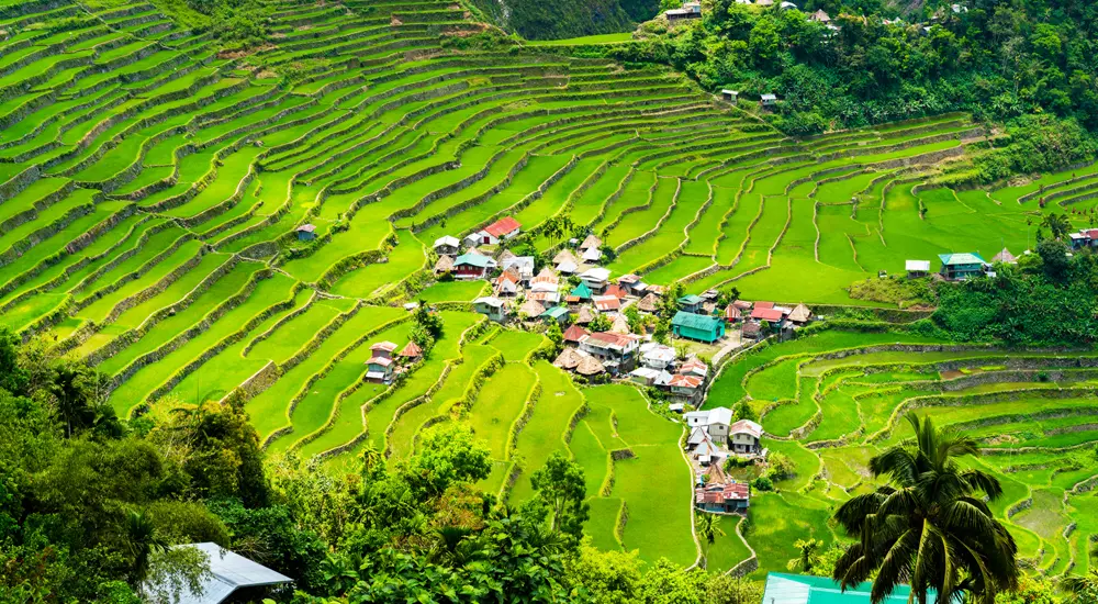 Batad Rice Terraces