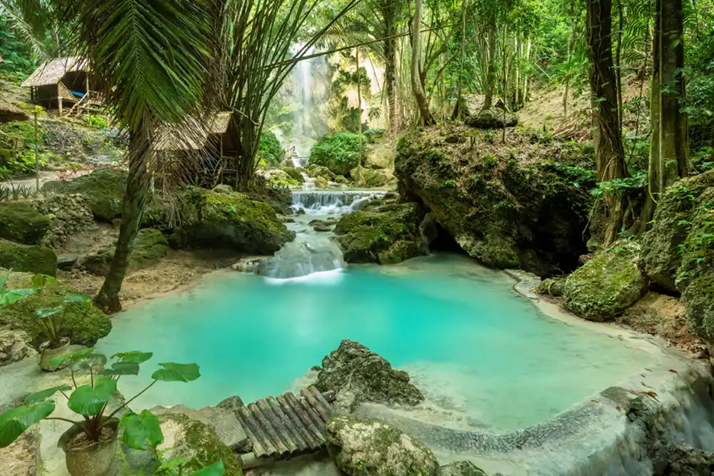 Cebu Safari and Adventure Park