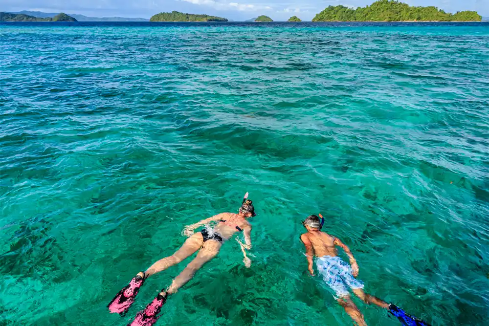 Enjoy Snorkelling and Diving