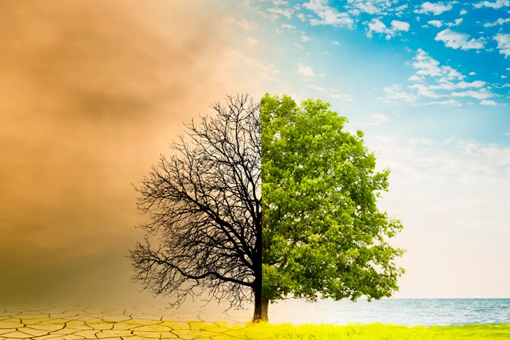 Filipino Climate: An Overview