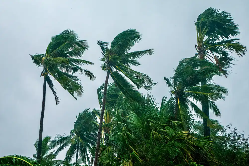 July the Typhoon Season in the Philippines