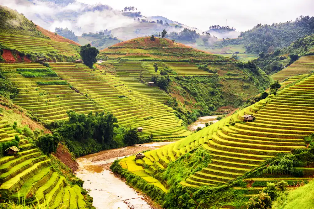 Rice Terraces of the Philippines