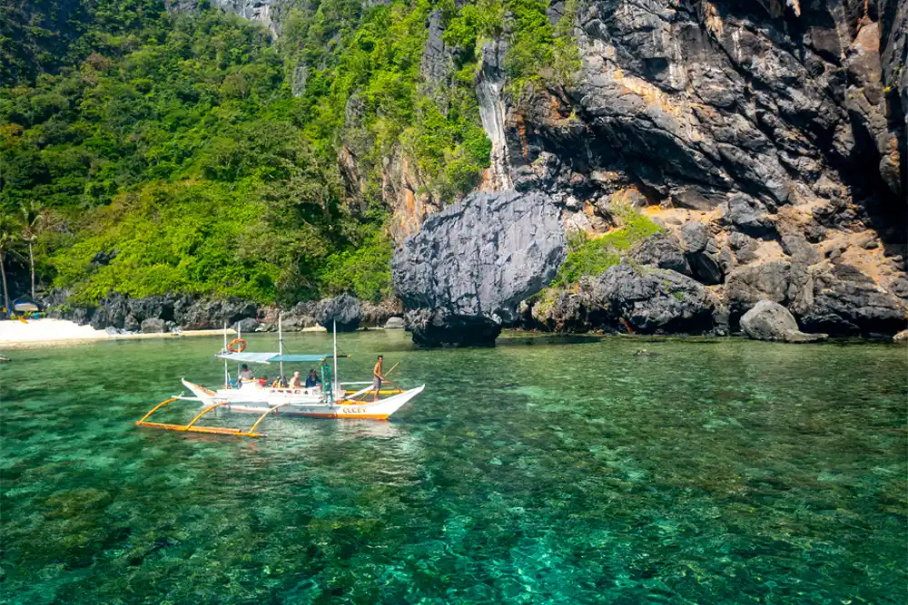 Set Out on Mangrove Boat Tour
